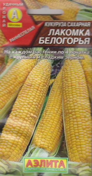 Sokerimaissi "Lakomka Belogorya" Sokerimaissi "Lakomka Belogorya"